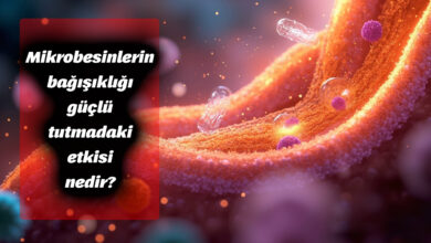 Mikrobesinlerin bağışıklığı güçlü tutmadaki etkisi nedir
