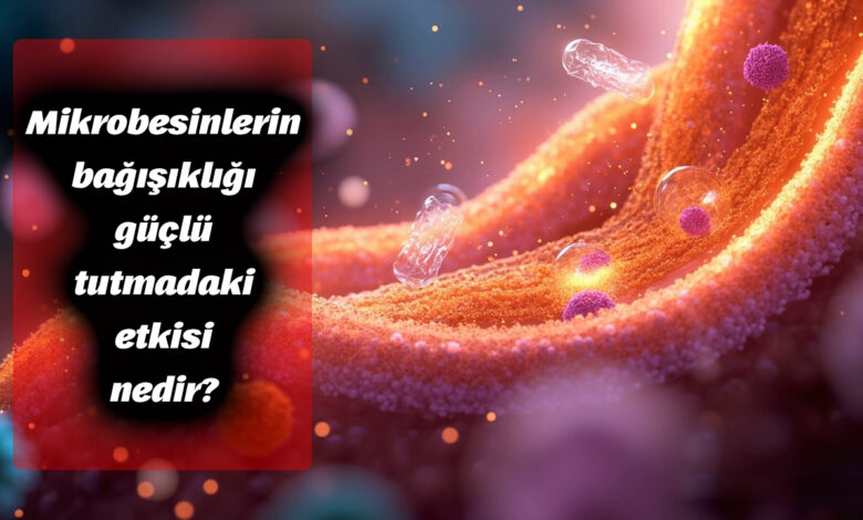 Mikrobesinlerin bağışıklığı güçlü tutmadaki etkisi nedir